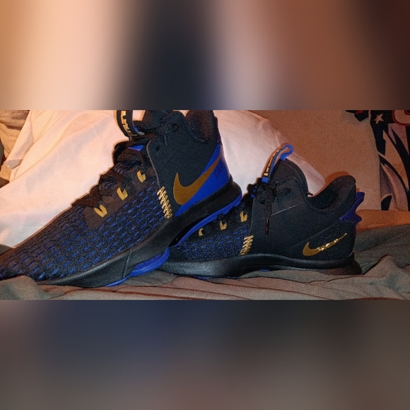 LeBron Witness V 5 Air Zooms